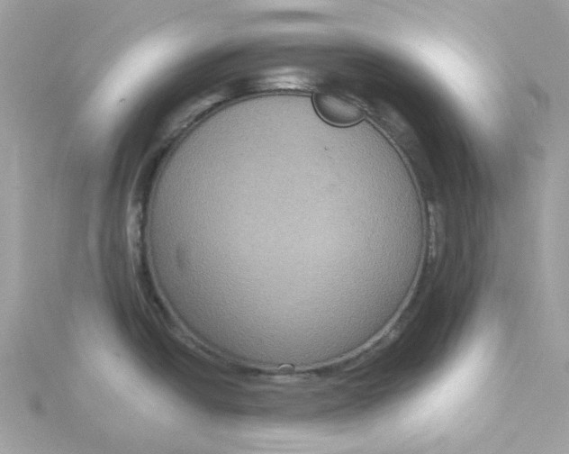 X0000115201438200911181459