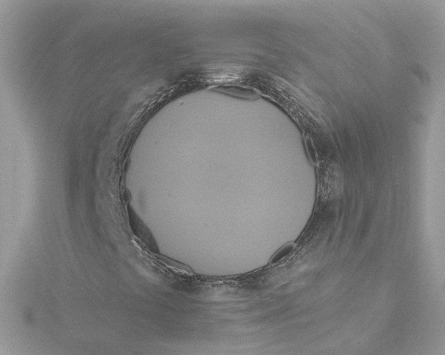 X0000115201441200911181459