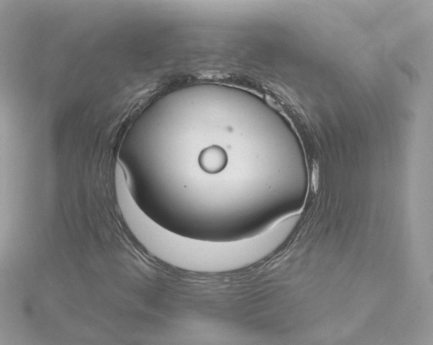 X0000115201444200911181459