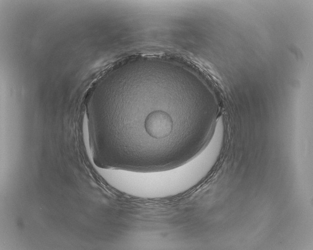 X0000115201445200911181459