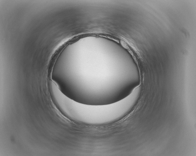 X0000115201452200911181459