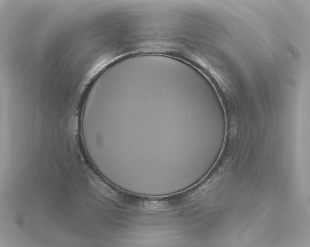 X0000115201459200911181459