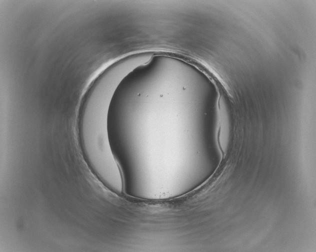 X0000115201460200911181459