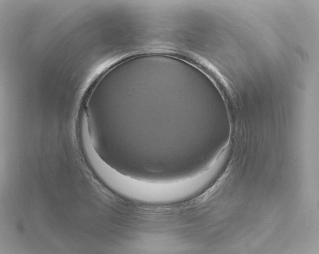 X0000115201461200911181459