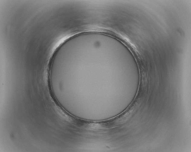 X0000115201463200911181459