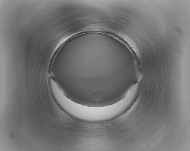 X0000115201465200911181458