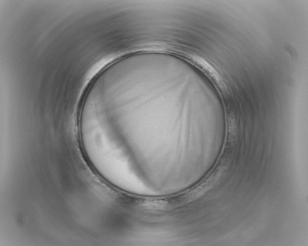 X0000115201466200911181458