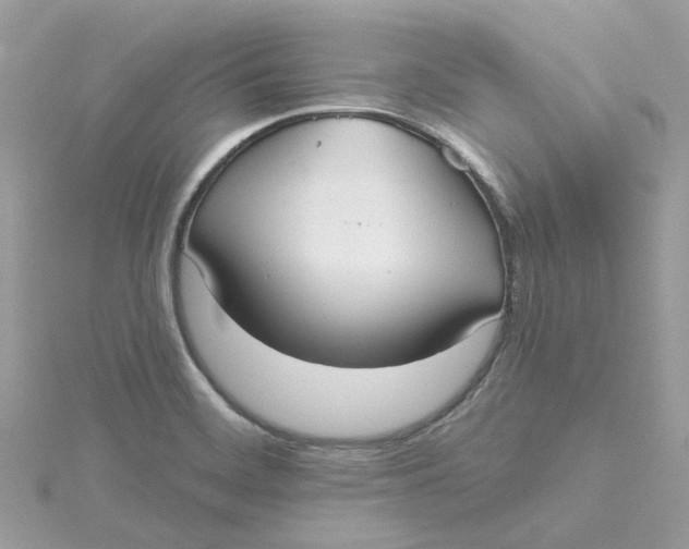 X0000115201468200911181458