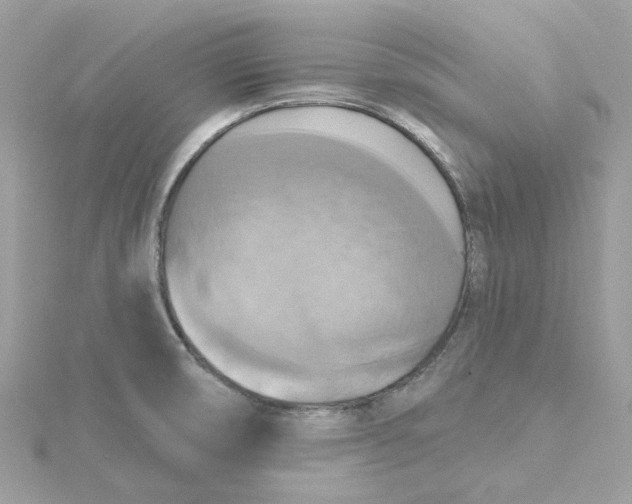 X0000115201474200911181458