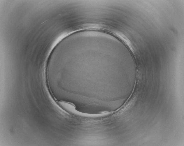 X0000115201475200911181458