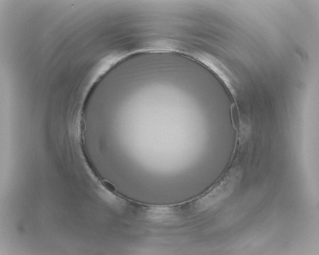 X0000115201477200911181458