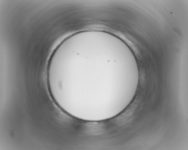 X0000115201478200911181458