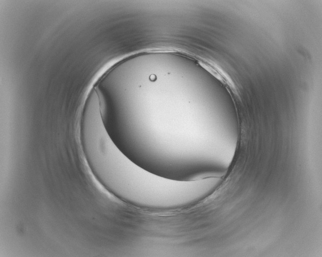 X0000115201484200911181458