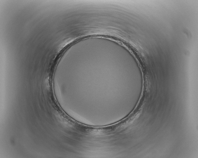 X0000115201497200911181458