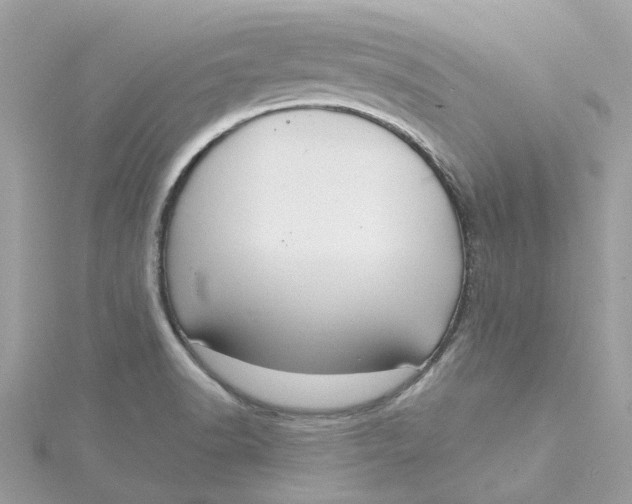 X0000115201518200911181458