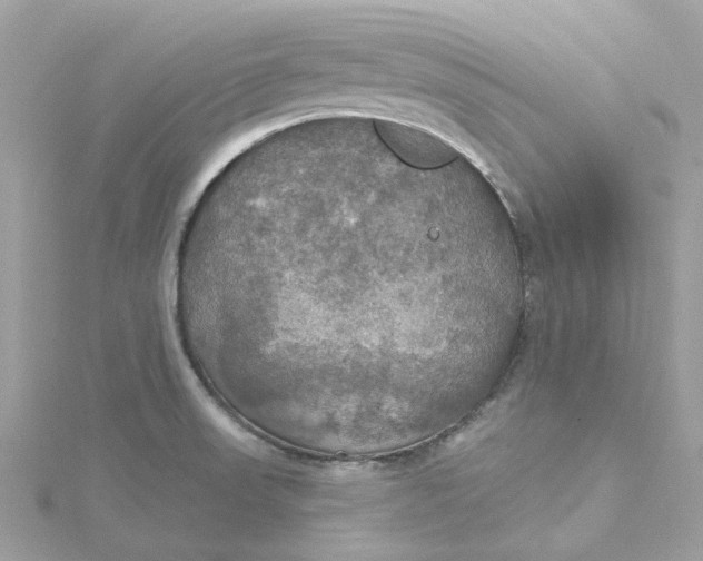 X0000115201523200911181458