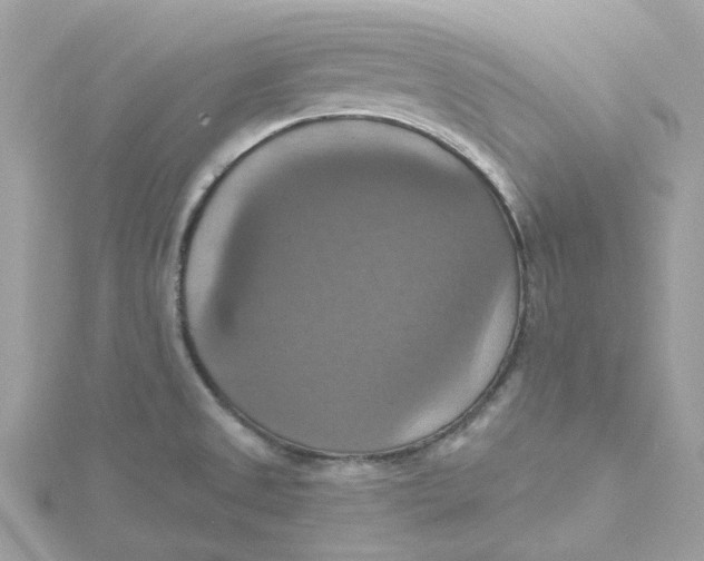 X0000115201525200911181458