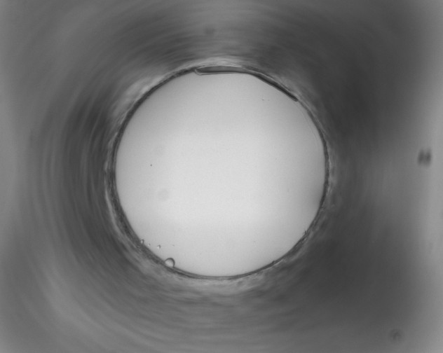 X0000115200001200911251454