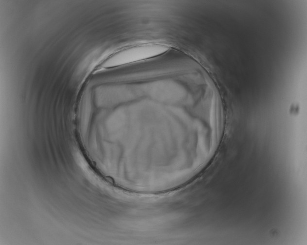 X0000115200002200911251454