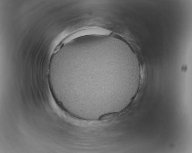X0000115200003200911251454