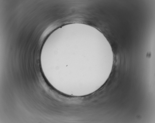 X0000115200004200911251454