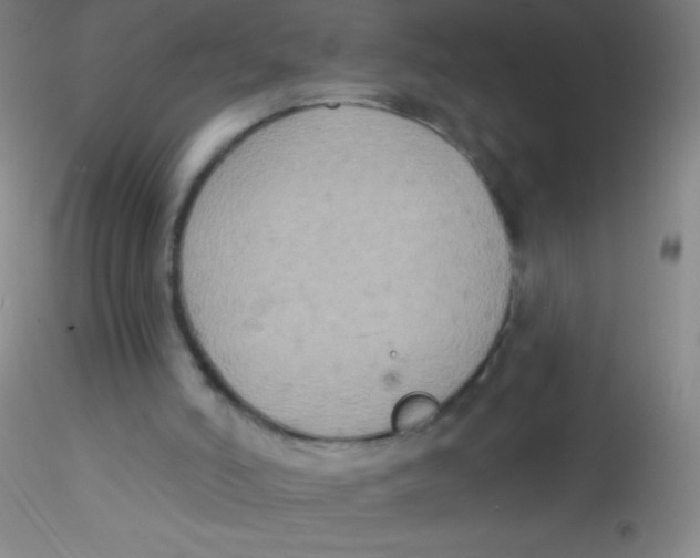 X0000115200006200911251454