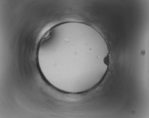 X0000115200008200911251454