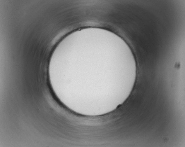 X0000115200011200911251454