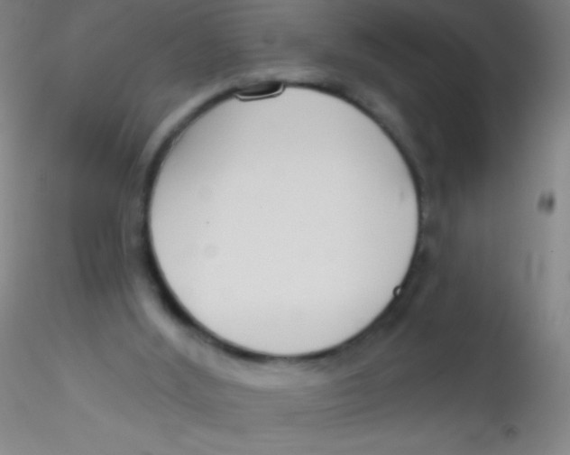 X0000115200012200911251454