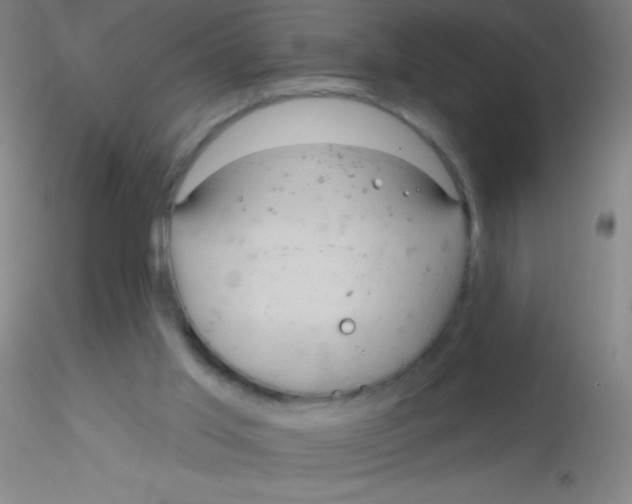 X0000115200013200911251454