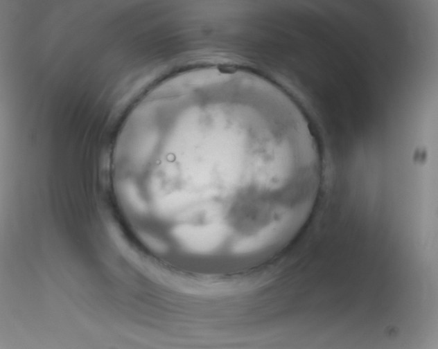 X0000115200014200911251454