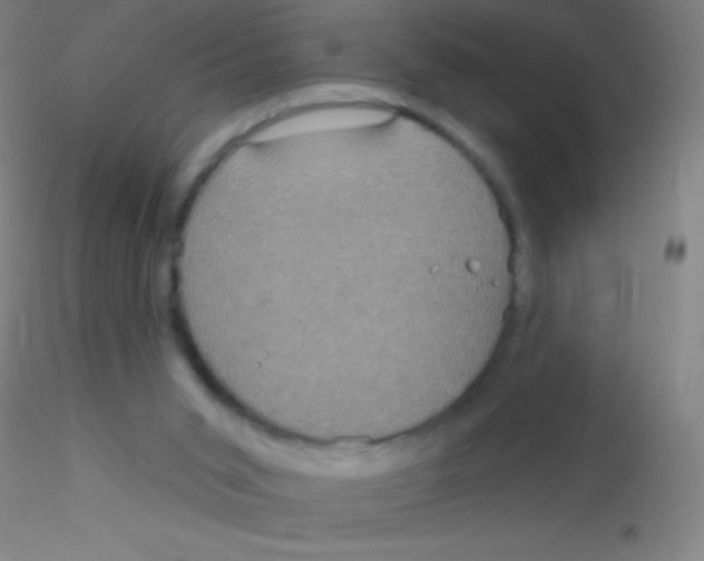 X0000115200015200911251454