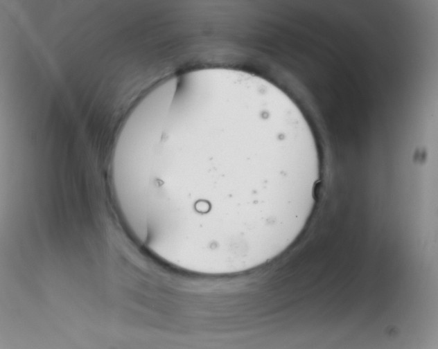 X0000115200017200911251454