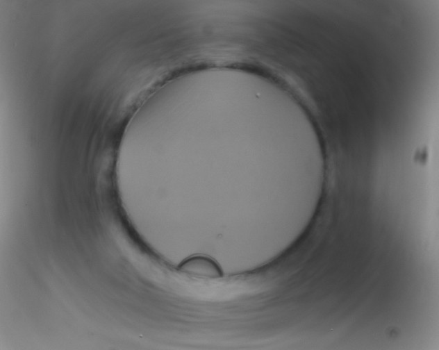 X0000115200018200911251454