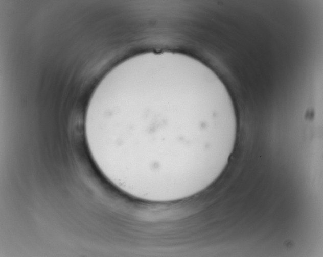 X0000115200021200911251454