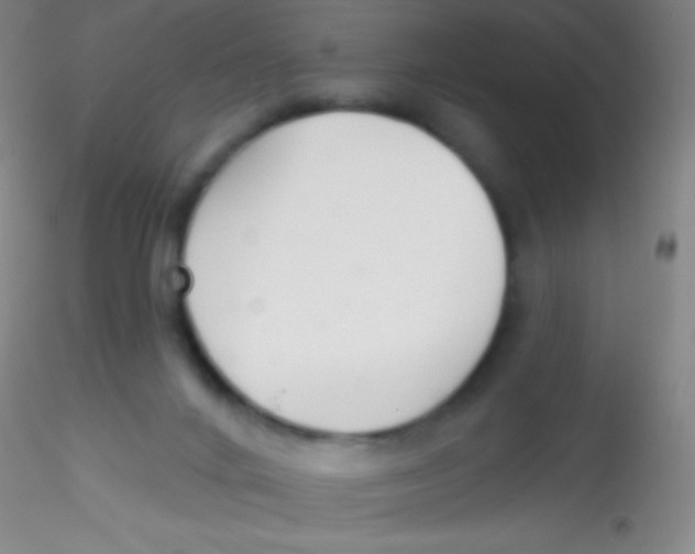 X0000115200024200911251454
