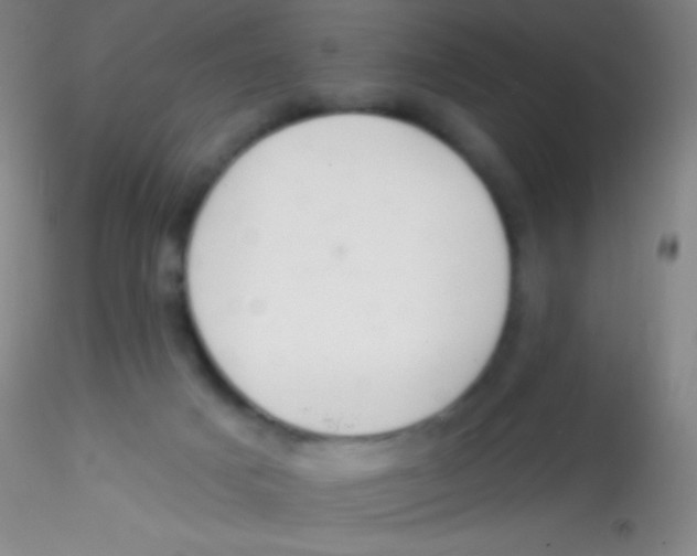 X0000115200025200911251454