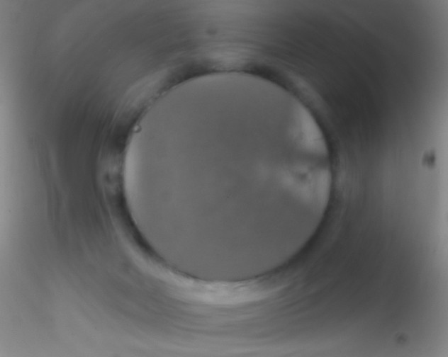 X0000115200026200911251454