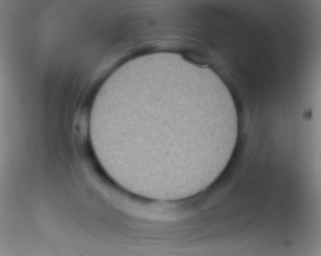 X0000115200028200911251454