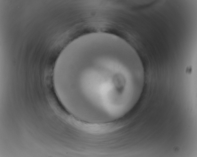 X0000115200030200911251454