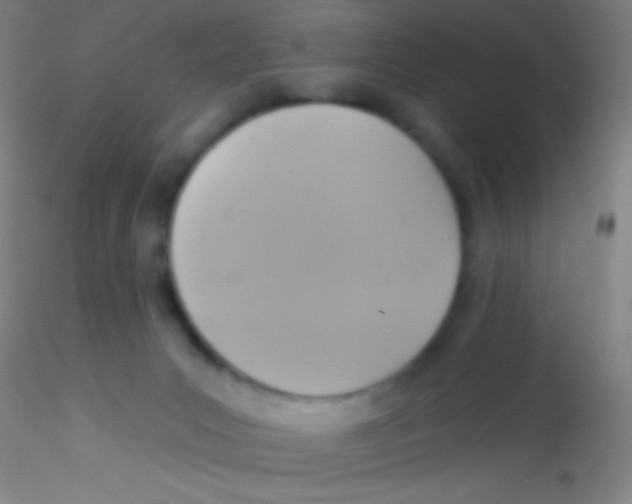 X0000115200031200911251454