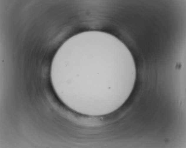 X0000115200032200911251454