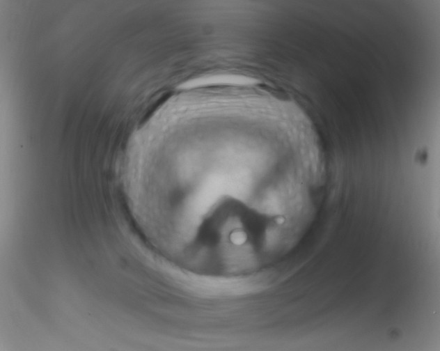 X0000115200034200911251454