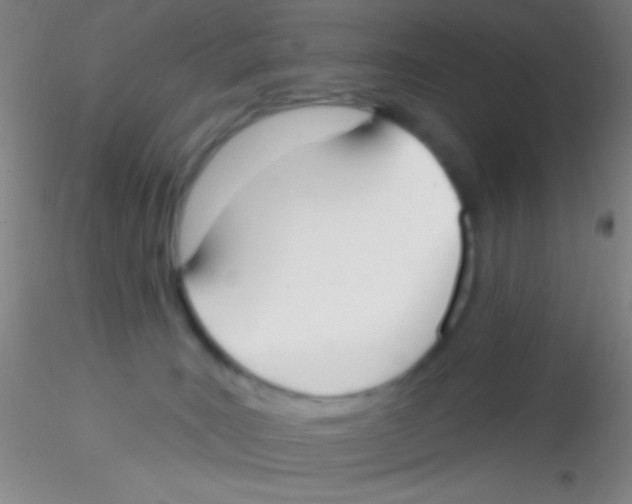 X0000115200035200911251454