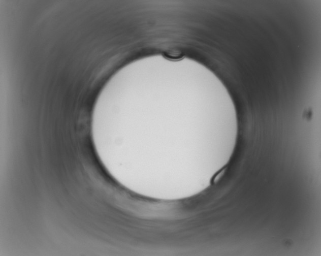 X0000115200036200911251454