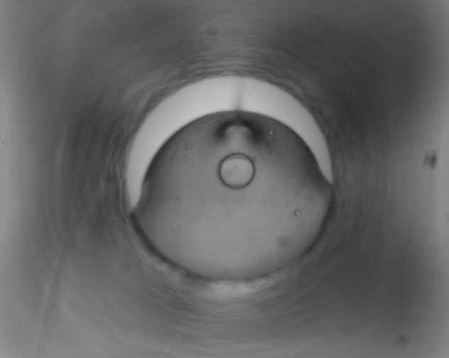 X0000115200037200911251454