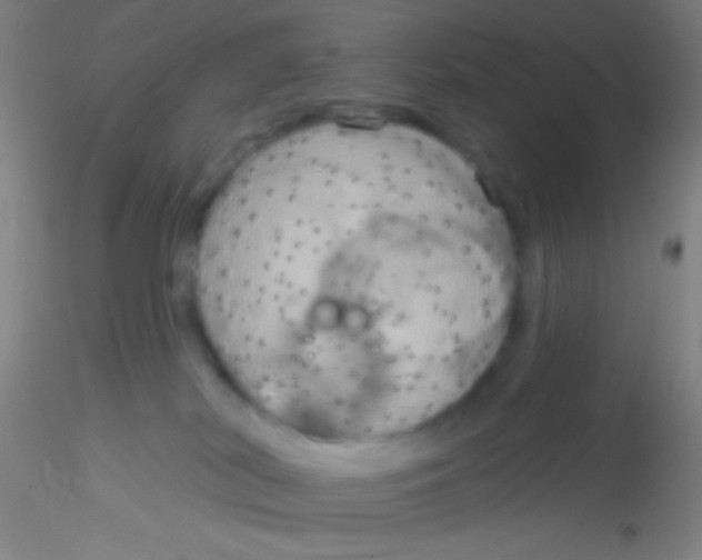 X0000115200038200911251454