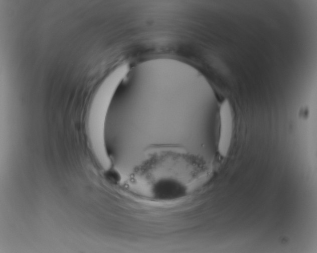 X0000115200039200911251454