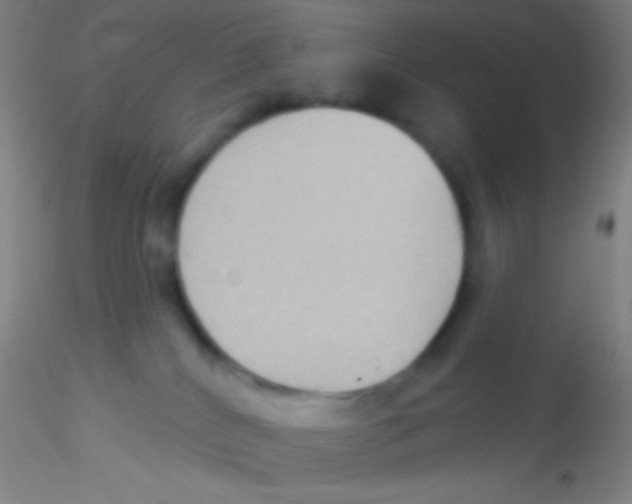 X0000115200040200911251454