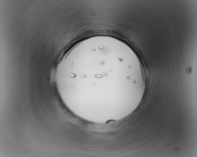 X0000115200041200911251454
